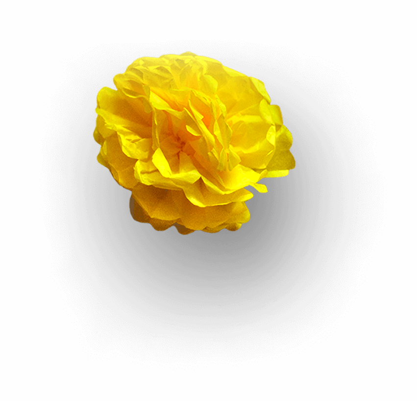 Yellow Flower